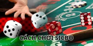 cách chơi sicbo Kubet